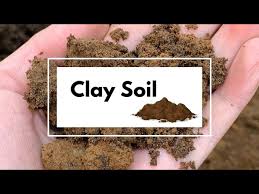 Clay Soil Benefits And Disadvantages