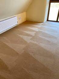 carpet treatment and protection