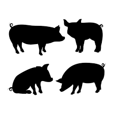 Pig Images Free On Freepik