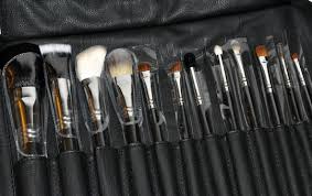 sigma makeup brushes what do you want