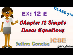 Chapter 12 Simple Linear Equation Ex 12