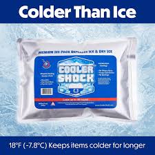 cooler shock ice packs for cooler