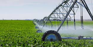 Resultado de imagem para agricultura
