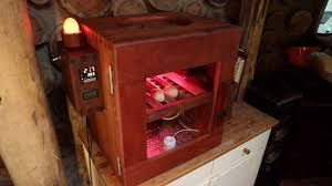 homemade automatic egg incubator you