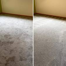 top 10 best steam clean carpet in san