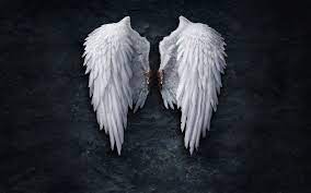 angel wings wallpapers top free angel