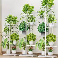 Plant Stand Indoor Temu