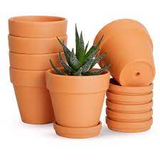 6 pack small terra cotta pots with