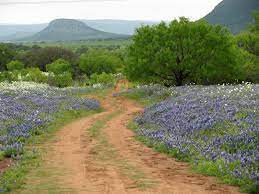 48 texas hill country wallpaper