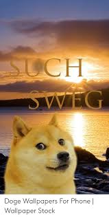 You can shuffle all pics, or, shuffle. Doge Phone And Wallpaper Meme Wallpapers For Mobile 500x997 Download Hd Wallpaper Wallpapertip