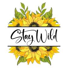 Sunflower Quote Sticker Stay Wild