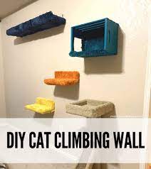 Easy Diy Cat Climbing Wall Mama And More