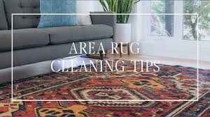area rug care and cleaning tips