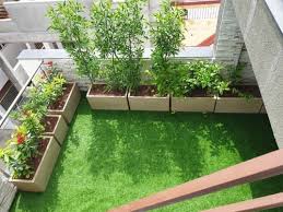Terrace Garden In Madurai Green