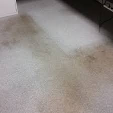 quickdry carpet cleaning care