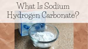 what is sodium hydrogen carbonate