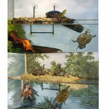 zoo med turtle dock small on