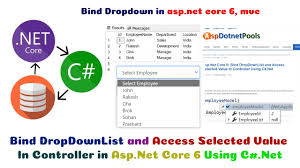 asp net core 6 bind dropdownlist and