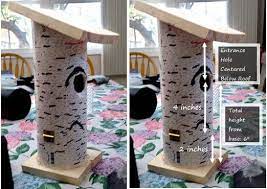 How To Make A Pvc Pipe Bluebird House