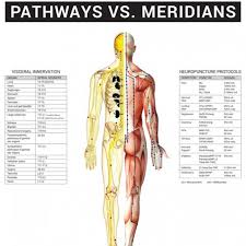 Neuropuncture Clinical Wall Chart Pathways Vs Meridians