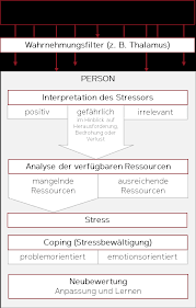In 1984, richard lazarus proposed the relationship between stress and cognitive appraisal. Stressbewaltigung Umgang Mit Stress Und Stressoren