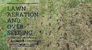 Roll the lawn (optional) continue to mow the grass regularly with care and attention. Lawn Aeration And Overseeding University Of Illinois Extension