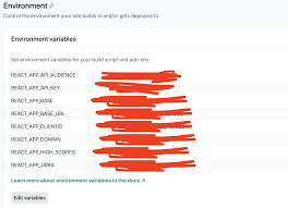 can t access environment variables