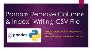 pandas remove columns index writing