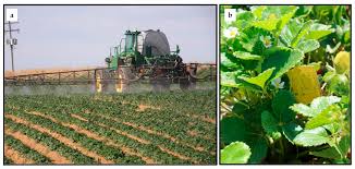 pesticide spray applications in field crops