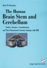 General somatosensory nuclei or trigeminal nuclei. The Human Brain Stem And Cerebellum Surface Structure Vascularization And Three Dimensional Sectional Anatomy With Mri Henri M Duvernoy Springer