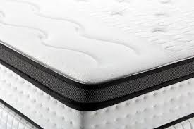 Bed Bug Infested Mattress