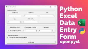 python excel data entry form with