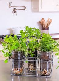 25 Diy Mason Jar Herb Garden Ideas