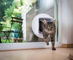 Cat Door Installation Perth Paw Pet