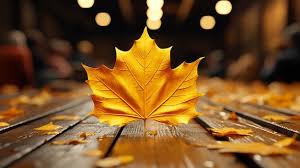 fall maple leaf hd wallpaper