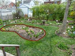 How To Start A Native Plant Garden