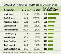 long term best performing stocks top