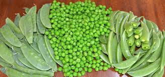 peas earliest sweetest easiest to