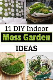 11 Diy Indoor Moss Garden Ideas Moss