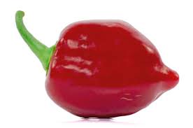 Top 10 Worlds Hottest Peppers 2019 Update New Hottest Pepper