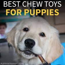 what are the best chew toys for a puppy