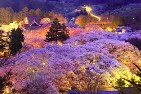 Nagano S Top Cherry Blossom Spots