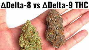 Delta 8 THC: What Are The Effects Of ...