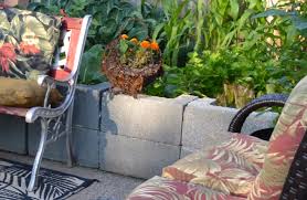 When it comes to gardening, my wife a cement besser or cinder block garden edge wall that is easy to do and will help improve your. Are Cinder Blocks Ok For Vegetable Gardens Answers To That Other Soil Safety Questions Buffalo Niagaragardening Com