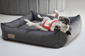 So, we have put together a great selection of pet bed products for you to view. 10 Best Dog Beds To Pamper Your Pooch Starting From Just 15