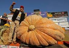 What is the heaviest pumpkin?