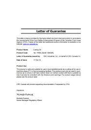 35 sle guarantee letters in pdf