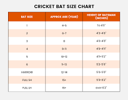Cricket Bat Size Chart Buyers Guide Online Cric Store
