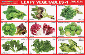Spectrum Educational Charts Chart 431 Leafy Vegetables 1
