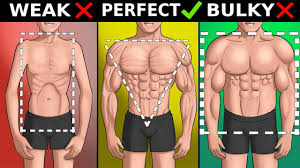 build a perfect male physique